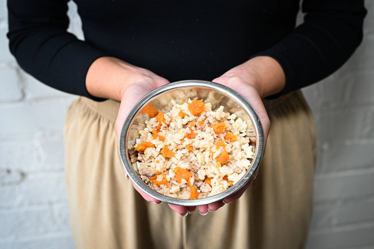 Dog Bland Diet: Soothing Solutions for Sensitive Stomachs