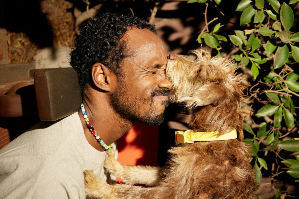 Does My Dog Know I Love Him? How to Show Your Dog You Love Them