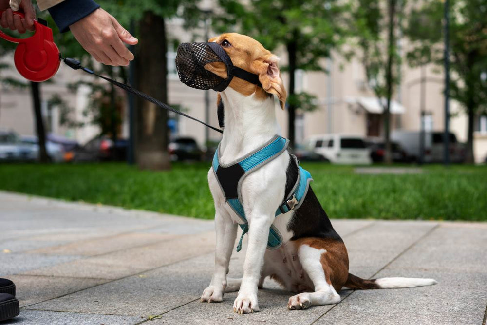 A hand reaches out to pet a dog wearing a mesh muzzle.