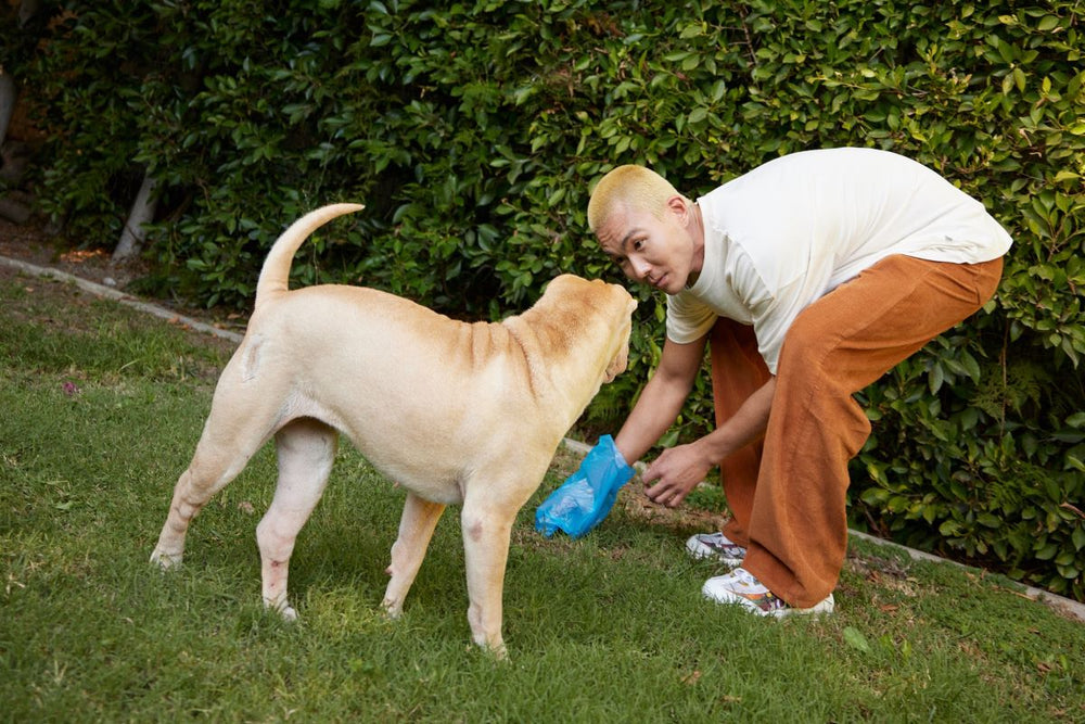 A man makes a face at his dog as he stoops to pick up its poop.