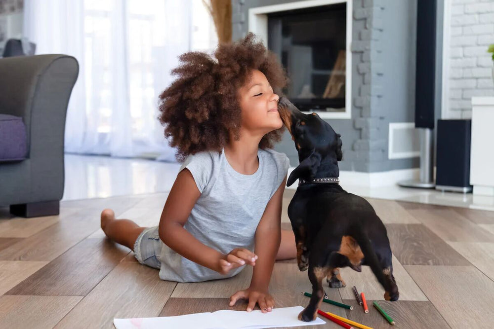 A young black girl kisses a dachshund.