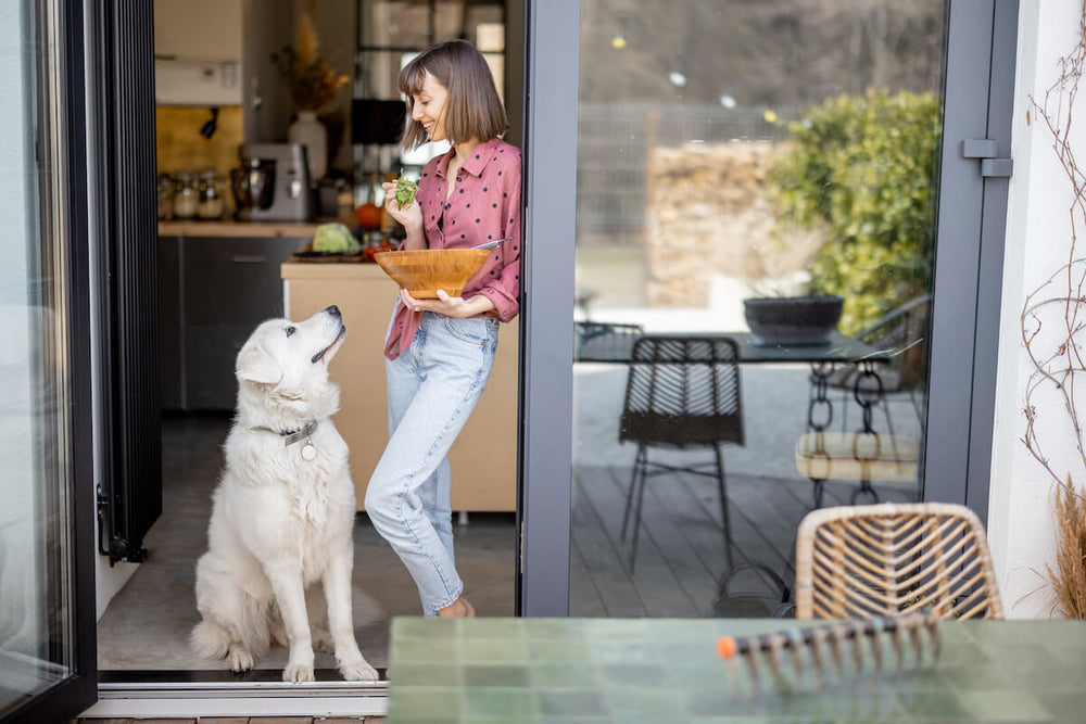 Can dogs eat kale: dog looking at a woman who's carrying a bowl of food