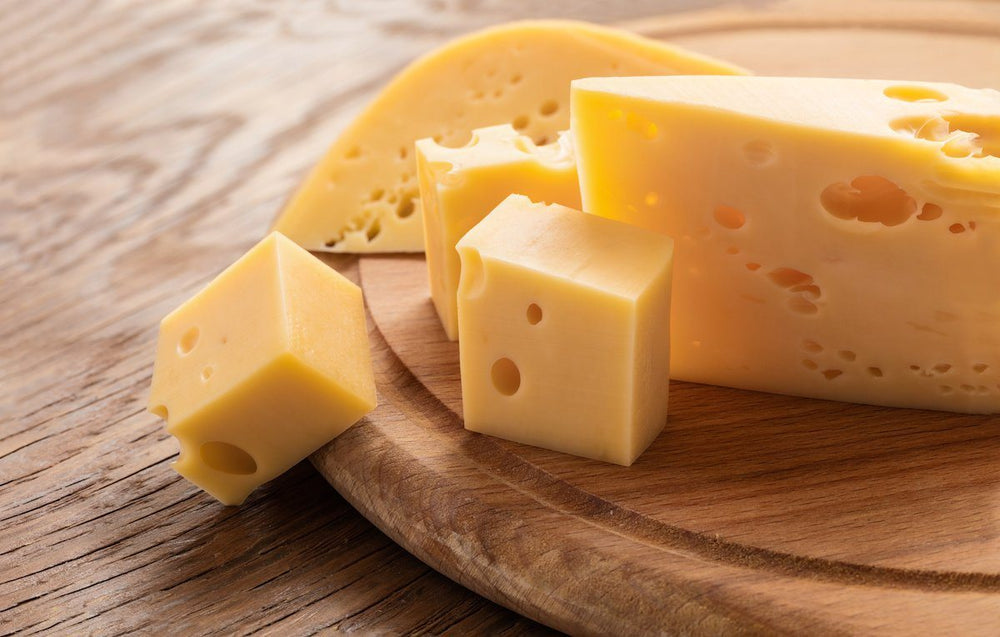 Can Dogs Be Lactose Intolerant? The Truth About Dogs and Dairy