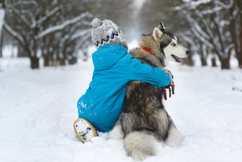 Are Huskies good with kids: kid hugging a Husky