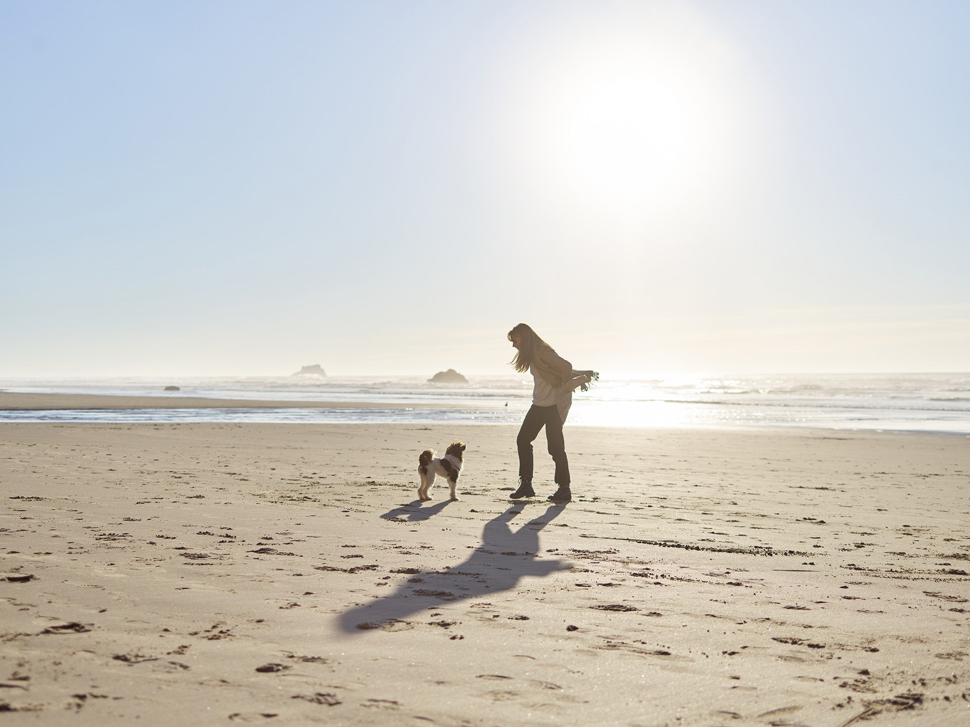 how often do dogs need sunlight