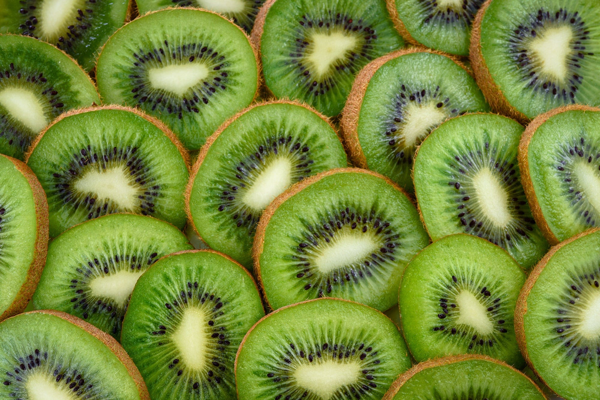 Can Dogs Eat Kiwi The Sweet Truth About This Sweet Fruit Native Pet