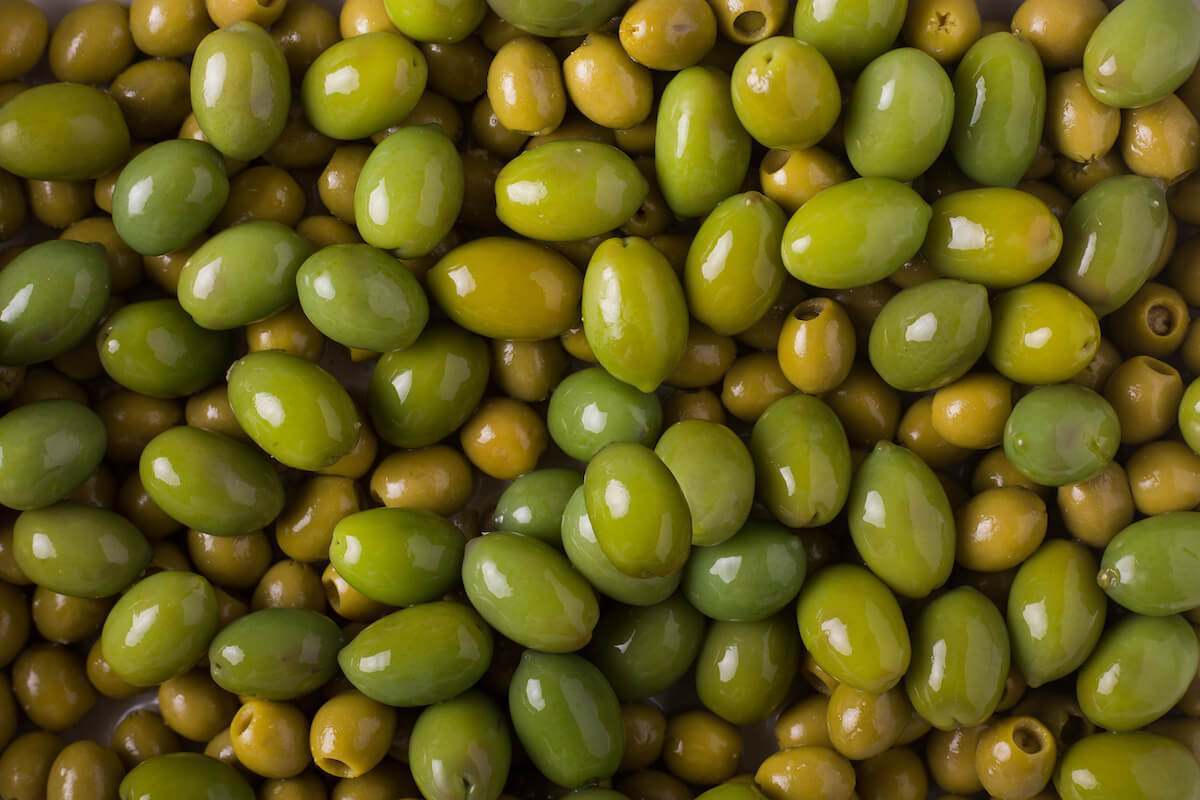 Can Dogs Eat Olives The Effects of This Salty Snack Native Pet