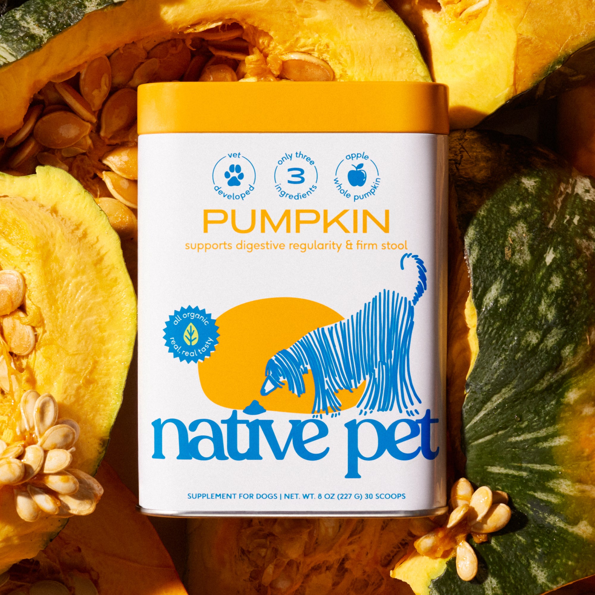 Native Pet Organic Pumpkin Powder for Dogs 8 oz