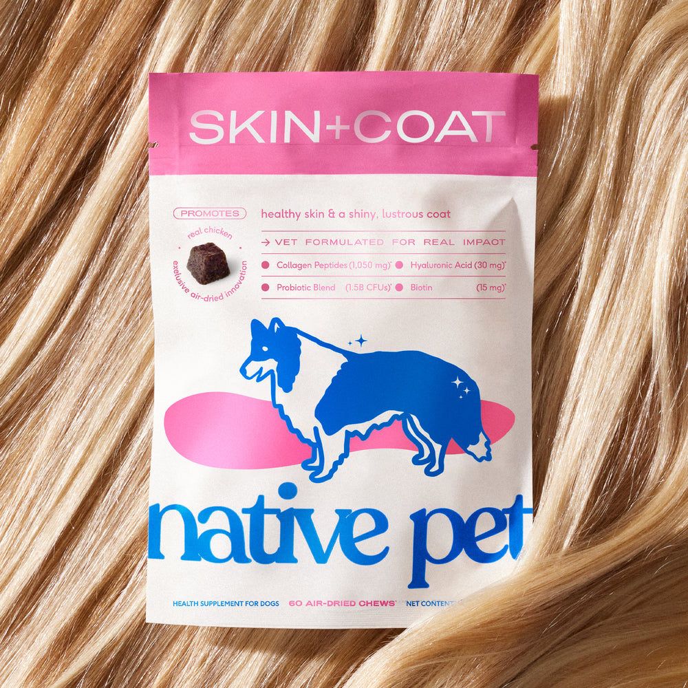 SKIN+COAT CHEWS