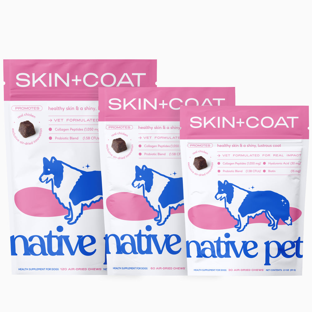 SKIN+COAT CHEWS
