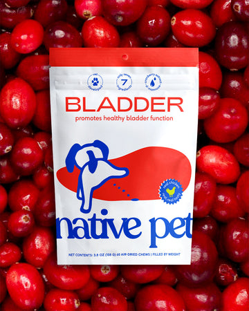  Bladder chews in front of cranberries.