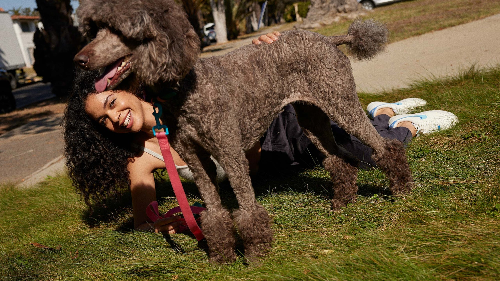 woman and her grey poodle laying in the grass