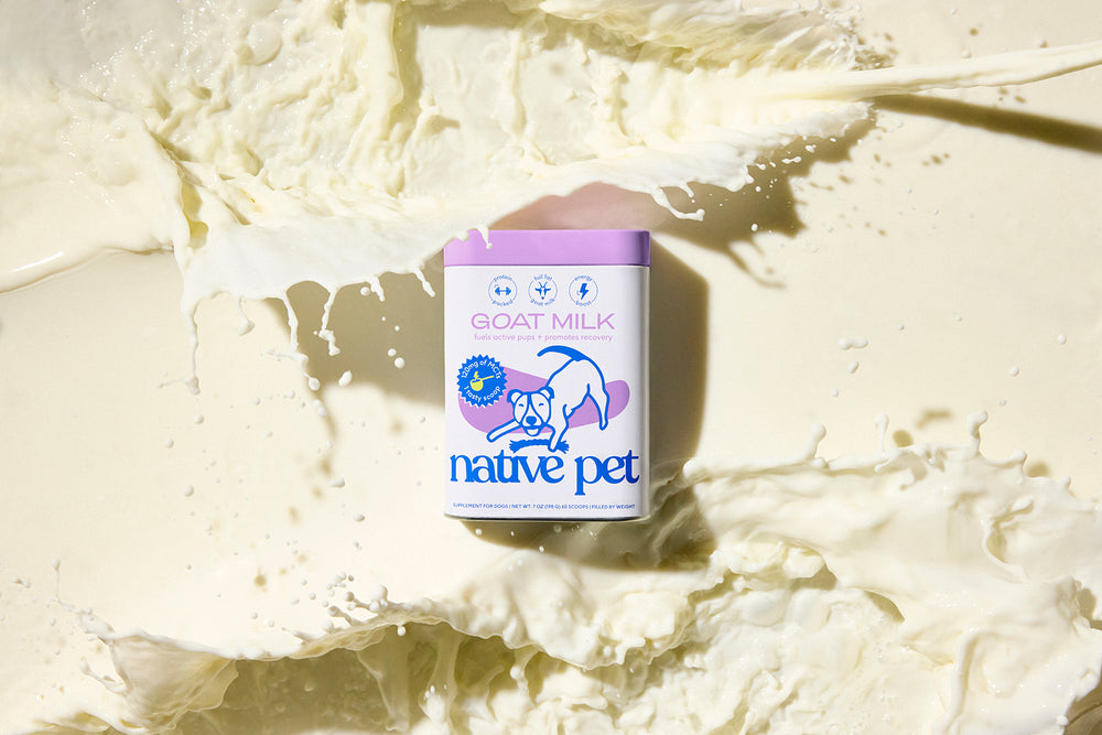 New! Goat Milk For Dogs from Native Pet