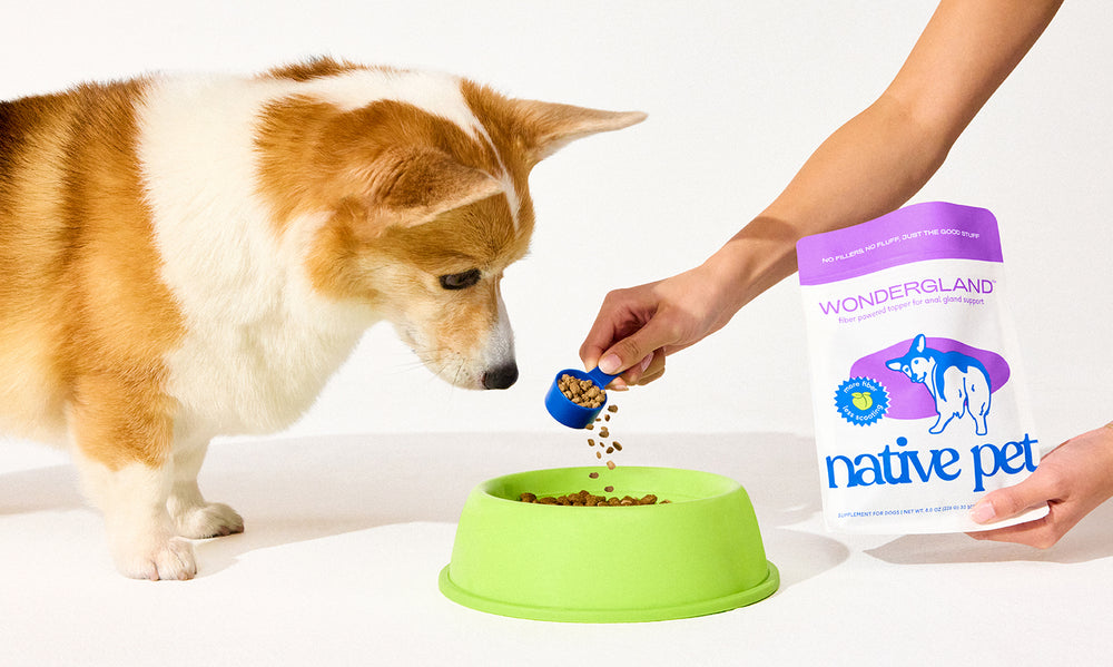 Introducing: WonderGland, a supplement for dogs supporting natural anal gland expression