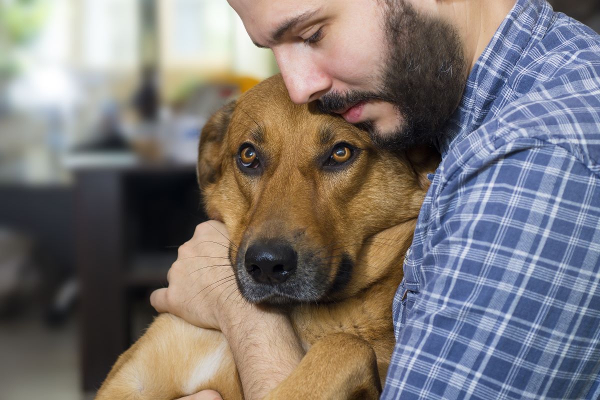 A bearded man cuddles his brown dog.