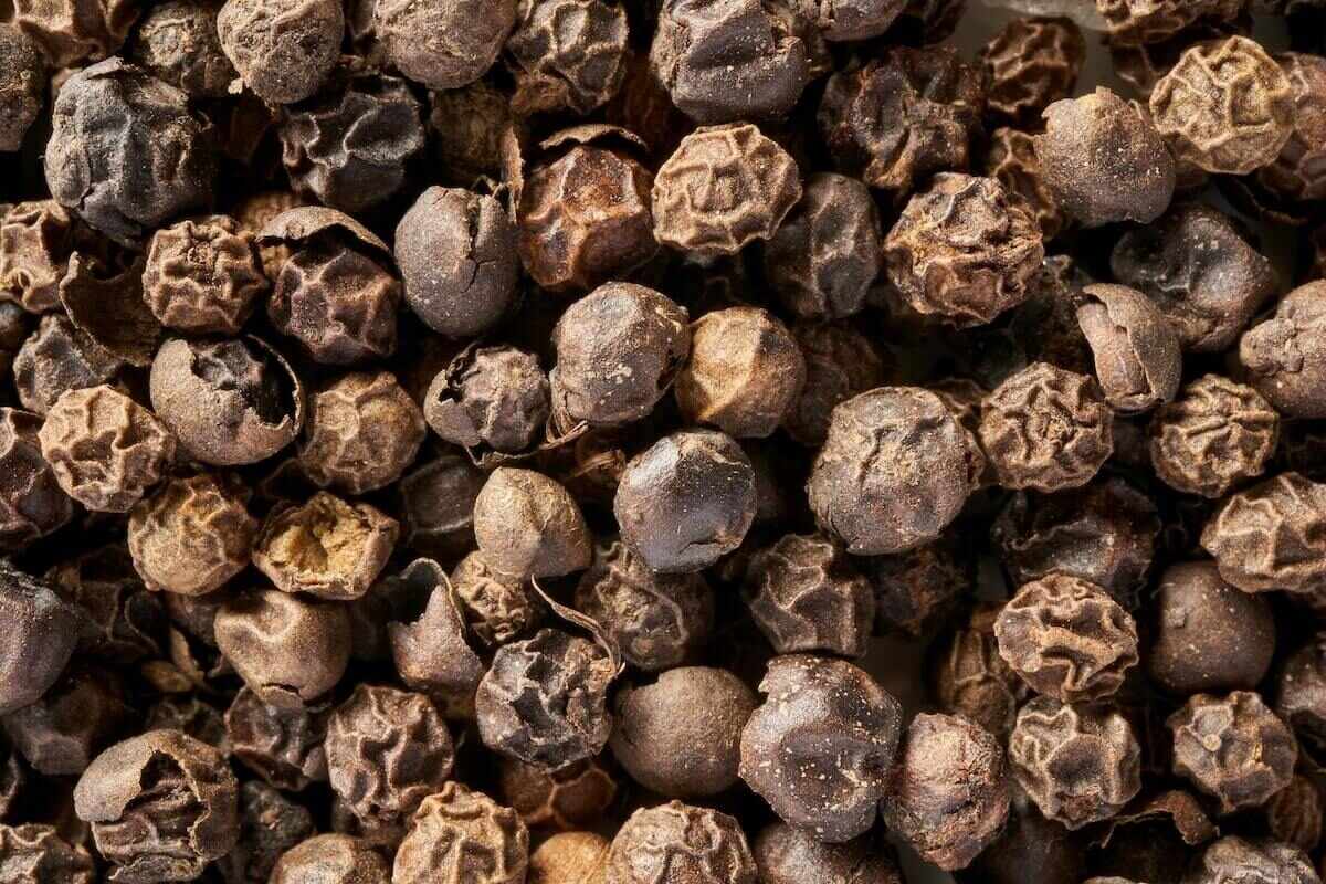 Close up shot of Black Peppercorns