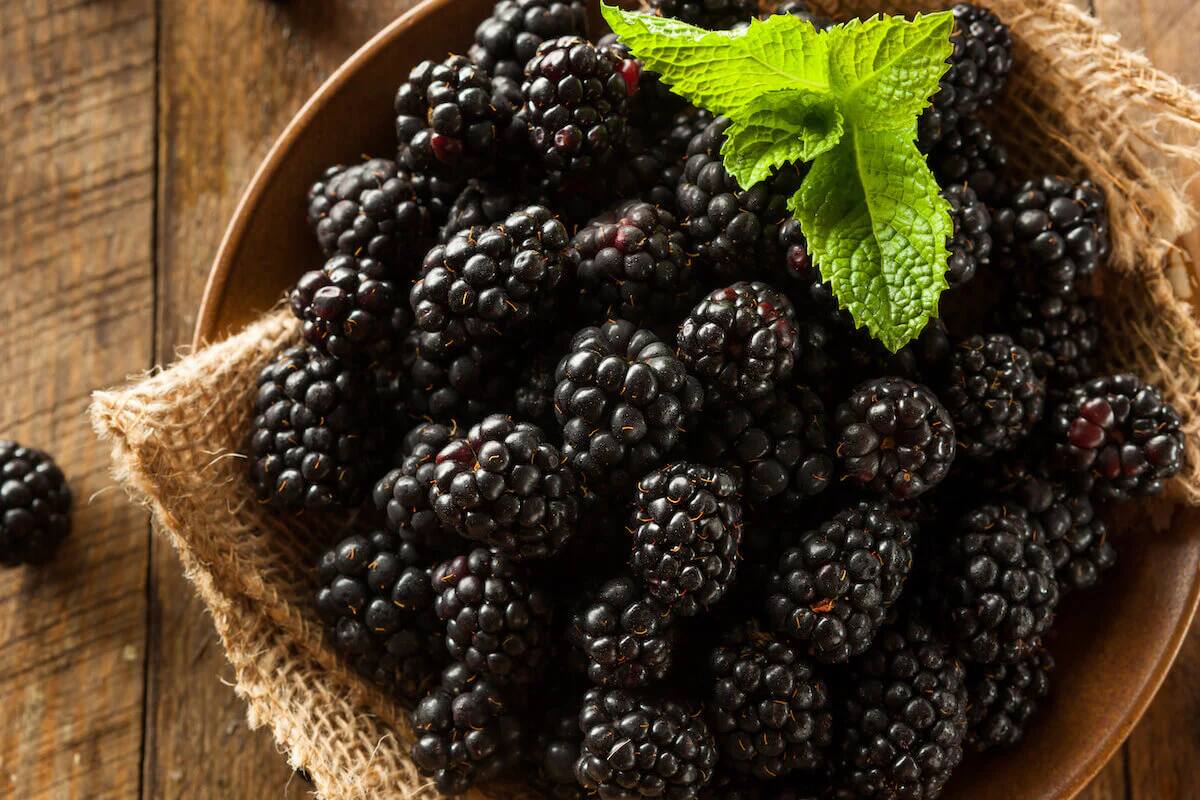 A close up shot of blackberries in a terra cotta bowl.