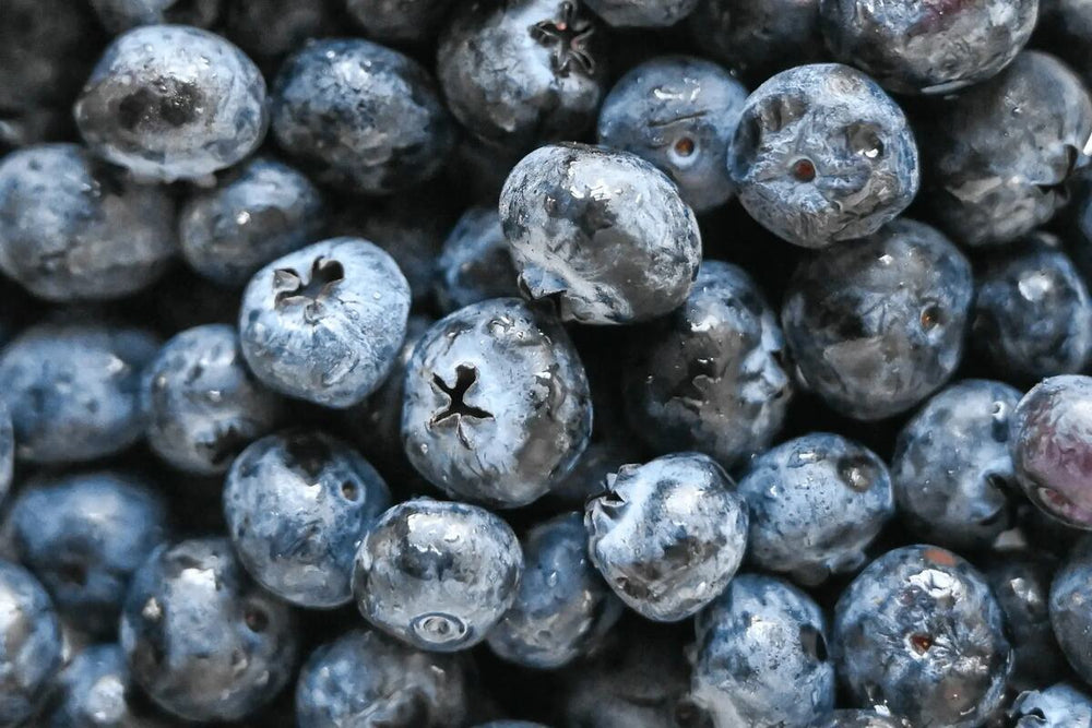 A close-up shot of blueberries.