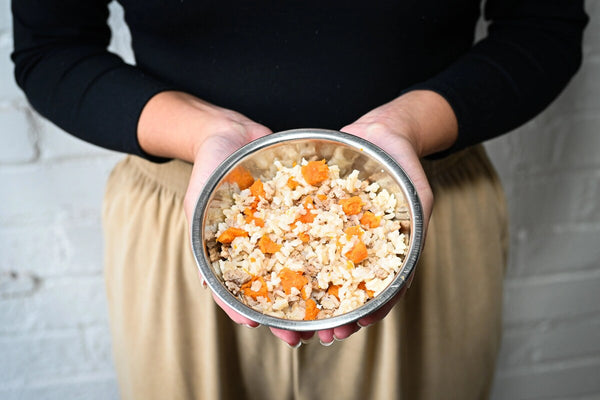 A person holds a bowl containing bland foods.