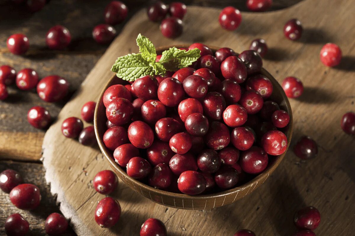 Are cranberries poisonous to dogs best sale