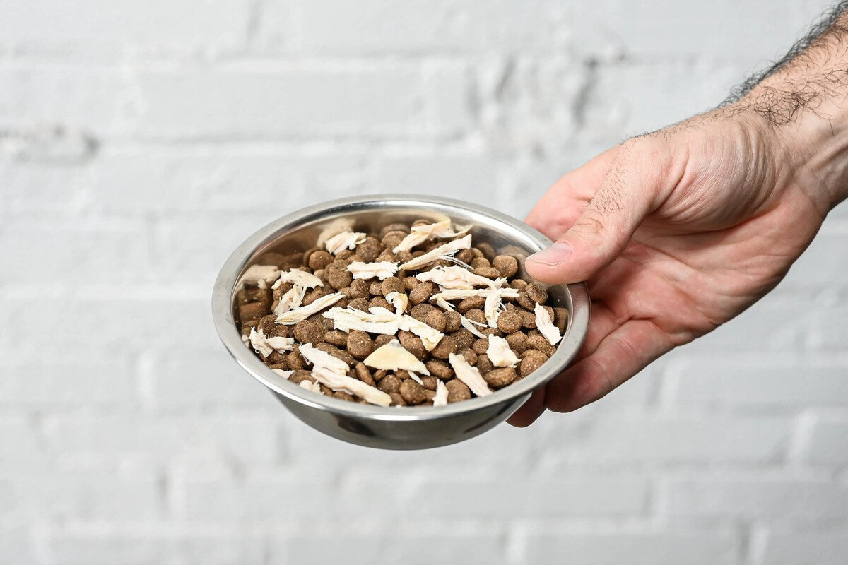 A hand holds out a bowl of dog food with shredded chicken.