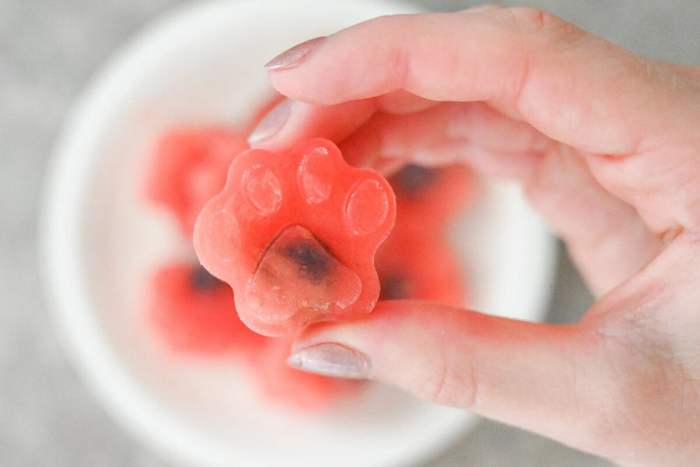 A hand holds a paw-shaped frozen watermelon beef bite dog treat.