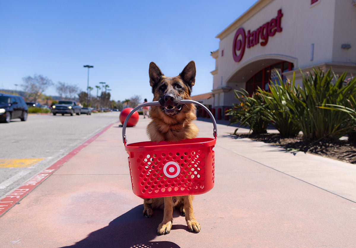A German Shepherd dog sits outside a Target store, holding a Target basket in its mouth.
