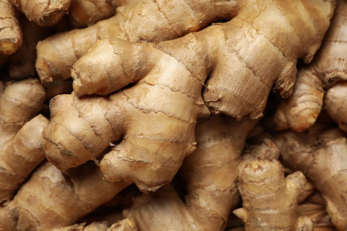A close up shot of ginger roots.