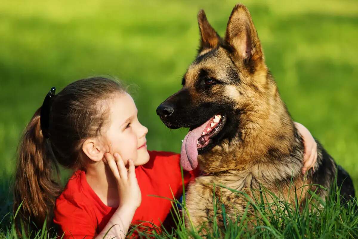 Child shops german shepherd