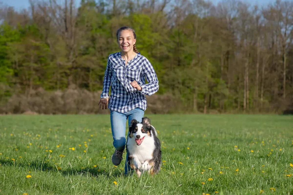 A girl runs alongside an Australian Shepherd.