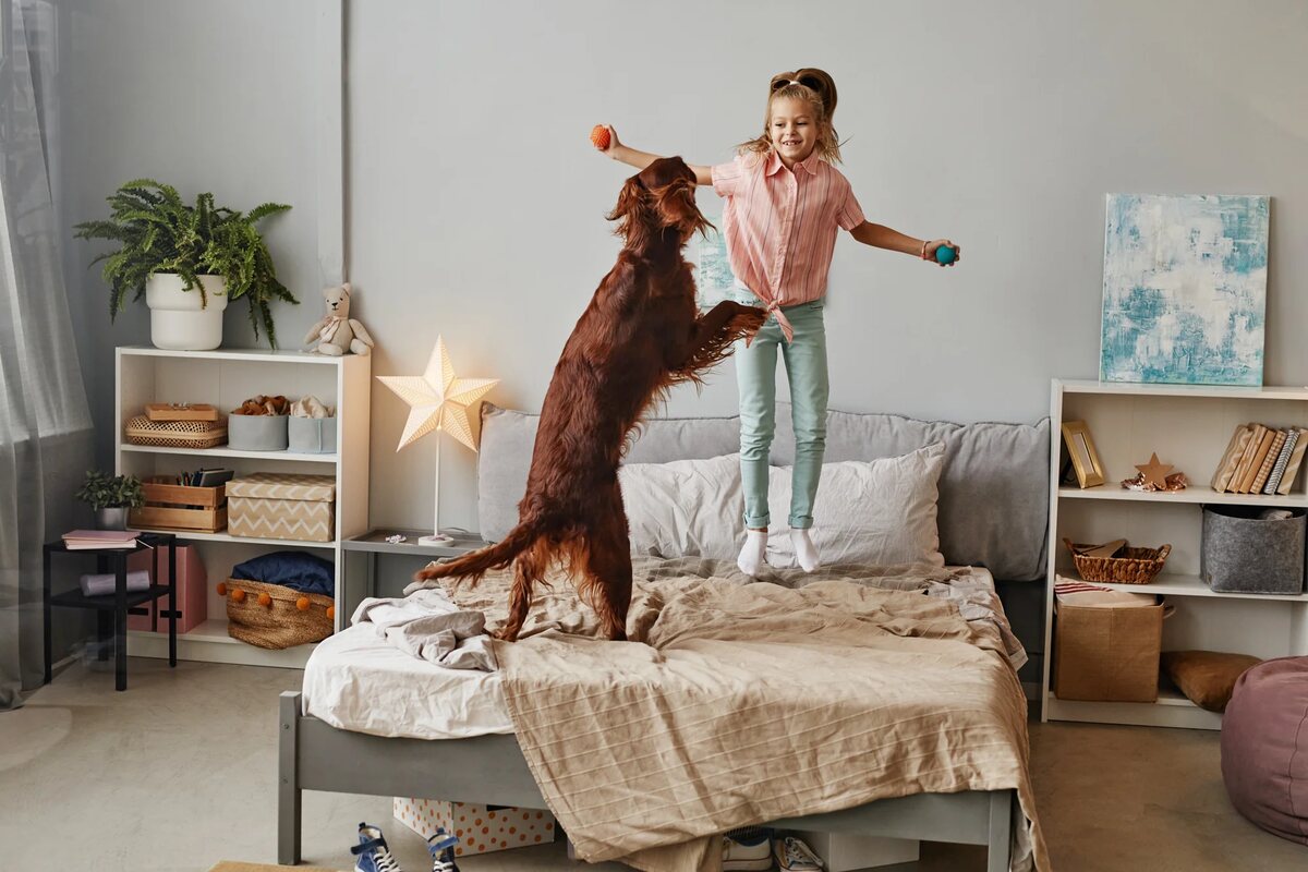 A young girl and a brown shaggy dog jump on a bed.