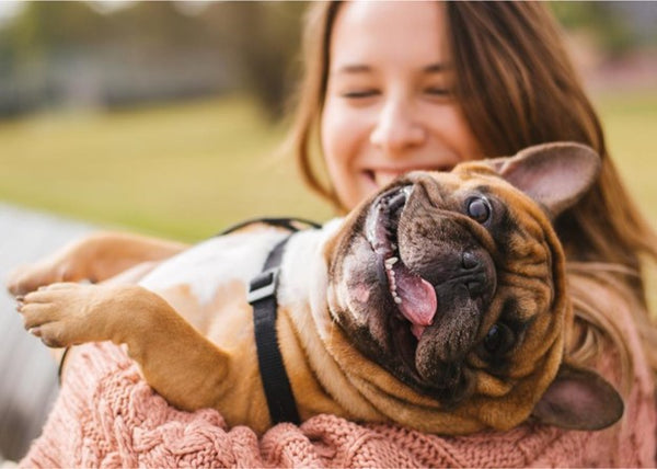 5 cost-saving ways to keep your pets healthy—and happy