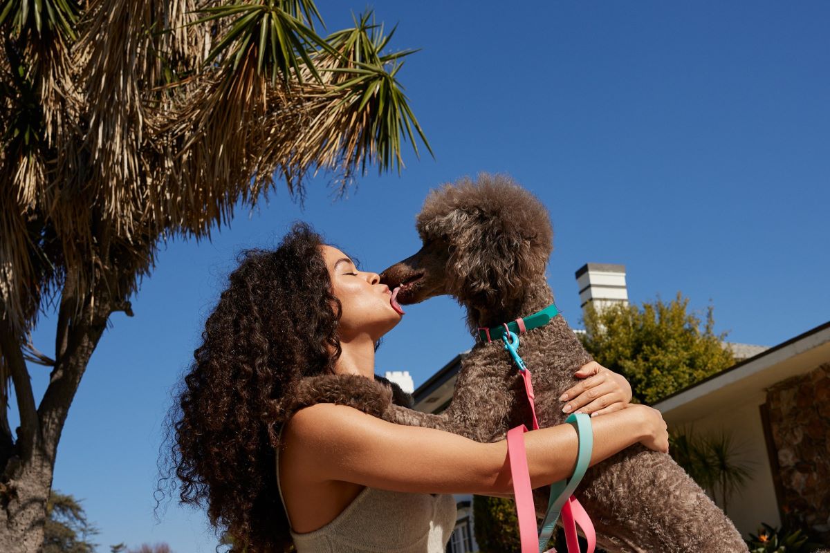 A poodle licks a woman on the face.