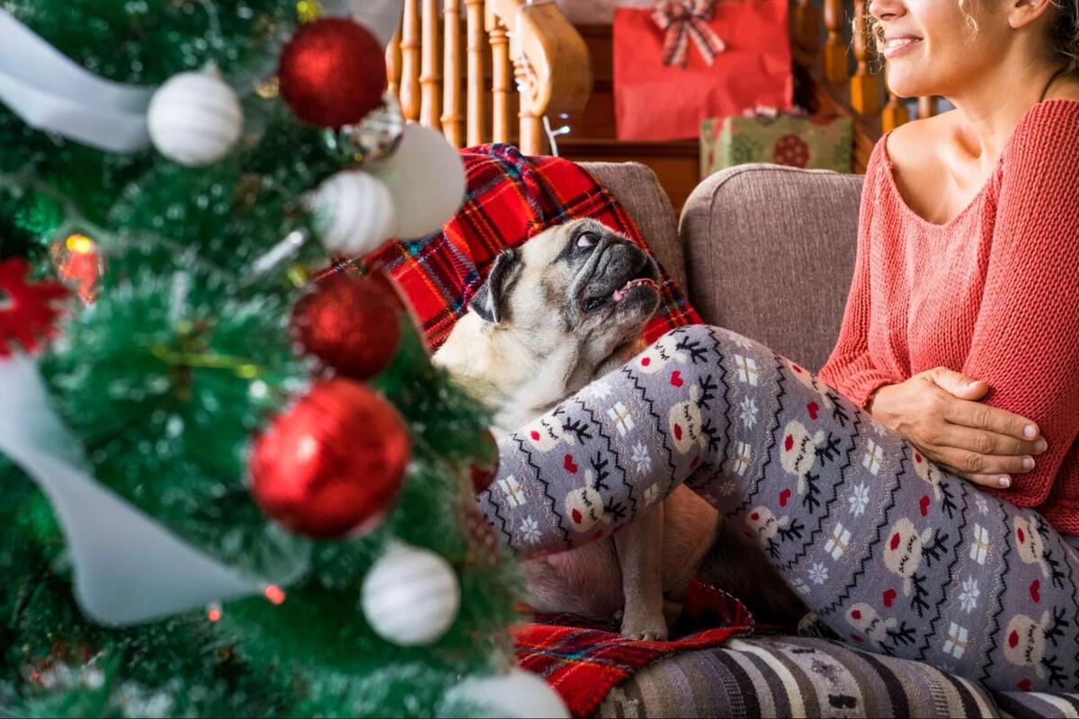 A woman in christmas pajamas sits on her couch next to a pug.