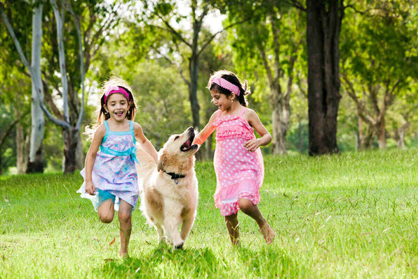 Two young girls run through a field with a golden retriever.