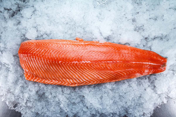 A large salmon fillet rests on ice.