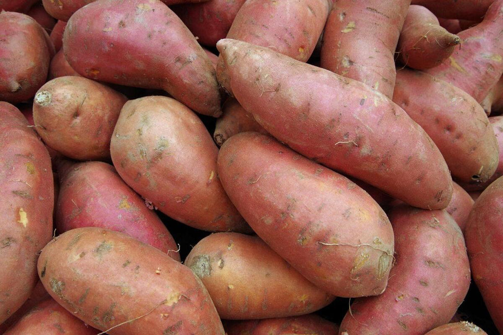 A close up shot of a pile of sweet potatoes.