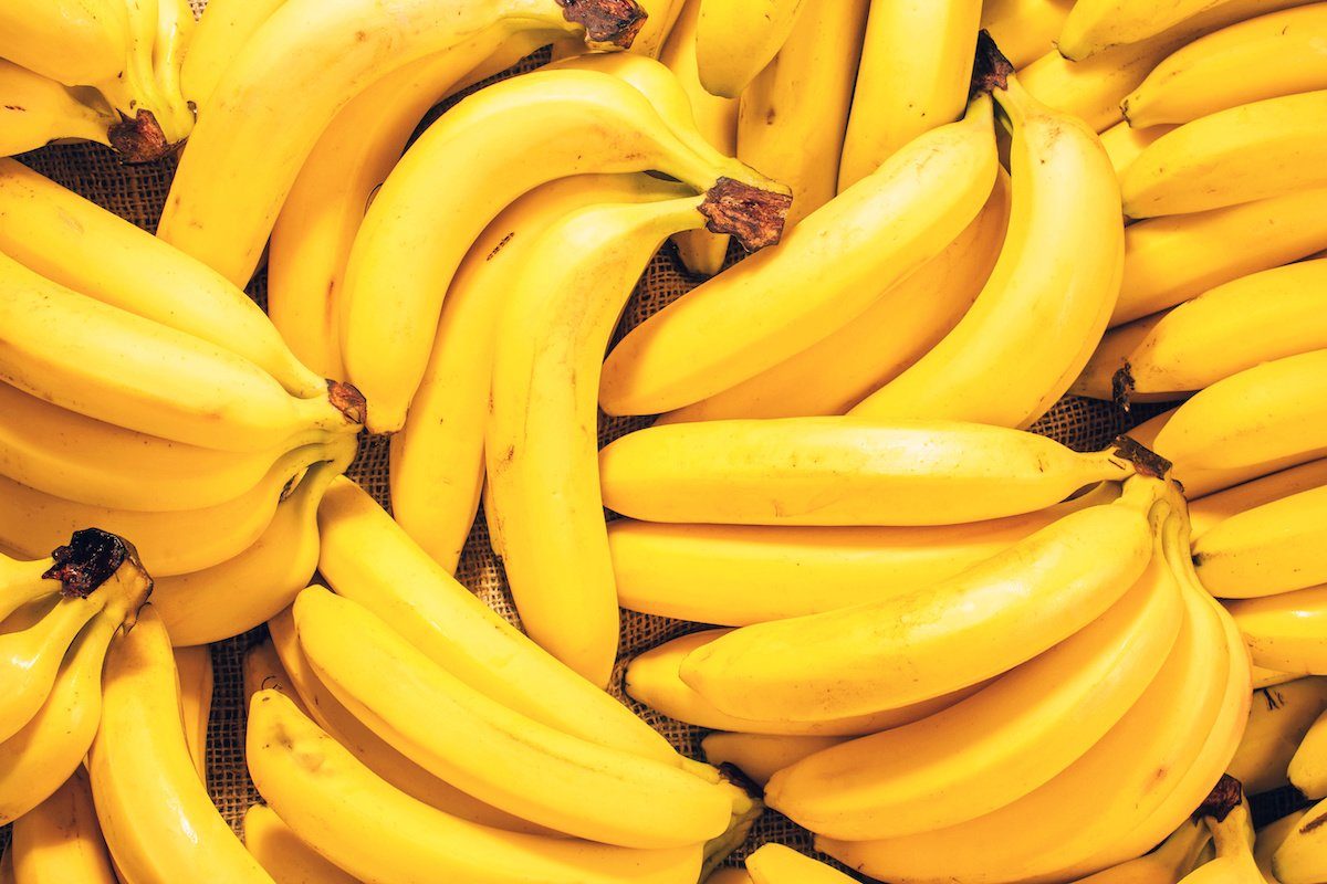 can dogs eat bananas: bananas