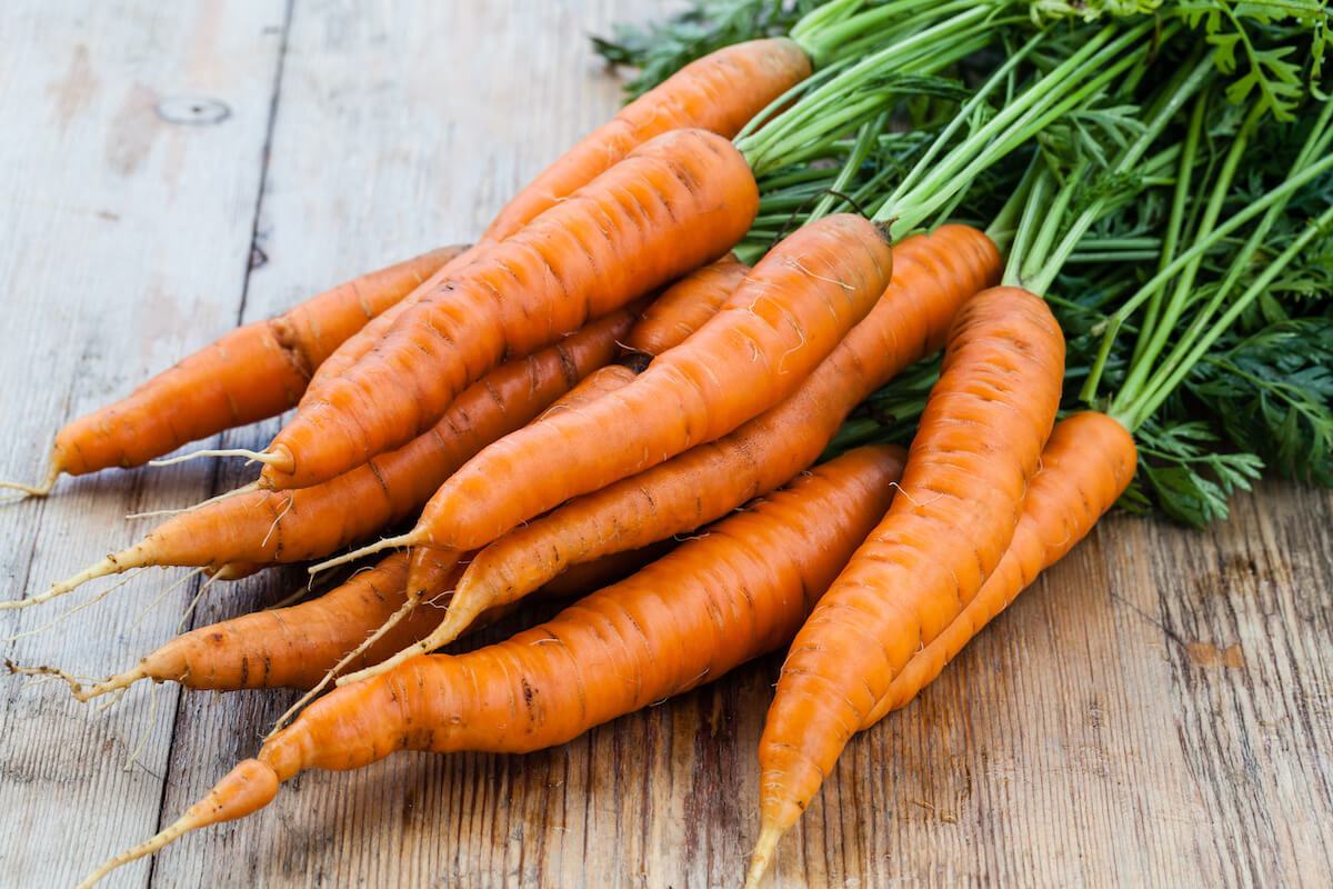 Can Dogs Eat Carrots? Why We're Rooting for This Root Vegetable