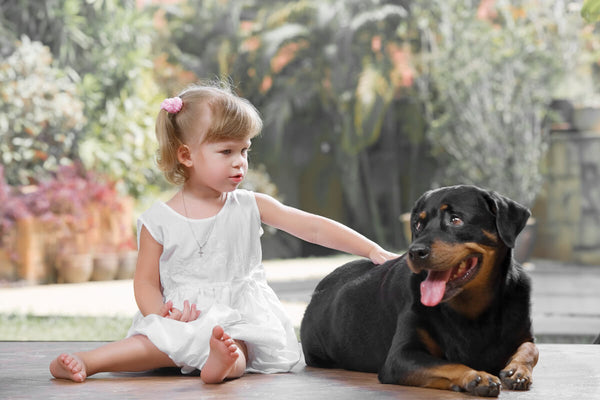 Are Rottweilers good with kids: girl petting a Rottweiler