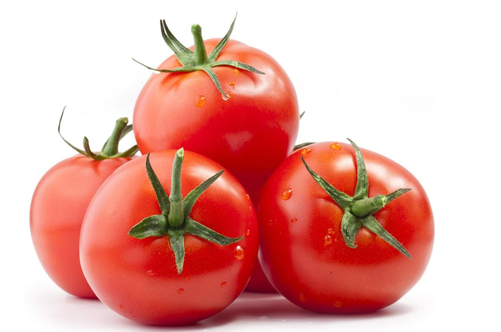 can dogs eat tomatoes: Fresh tomatoes against a white background