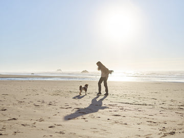 Do Dogs Need Sunscreen? How to Keep Your Pup Safe in the Sun