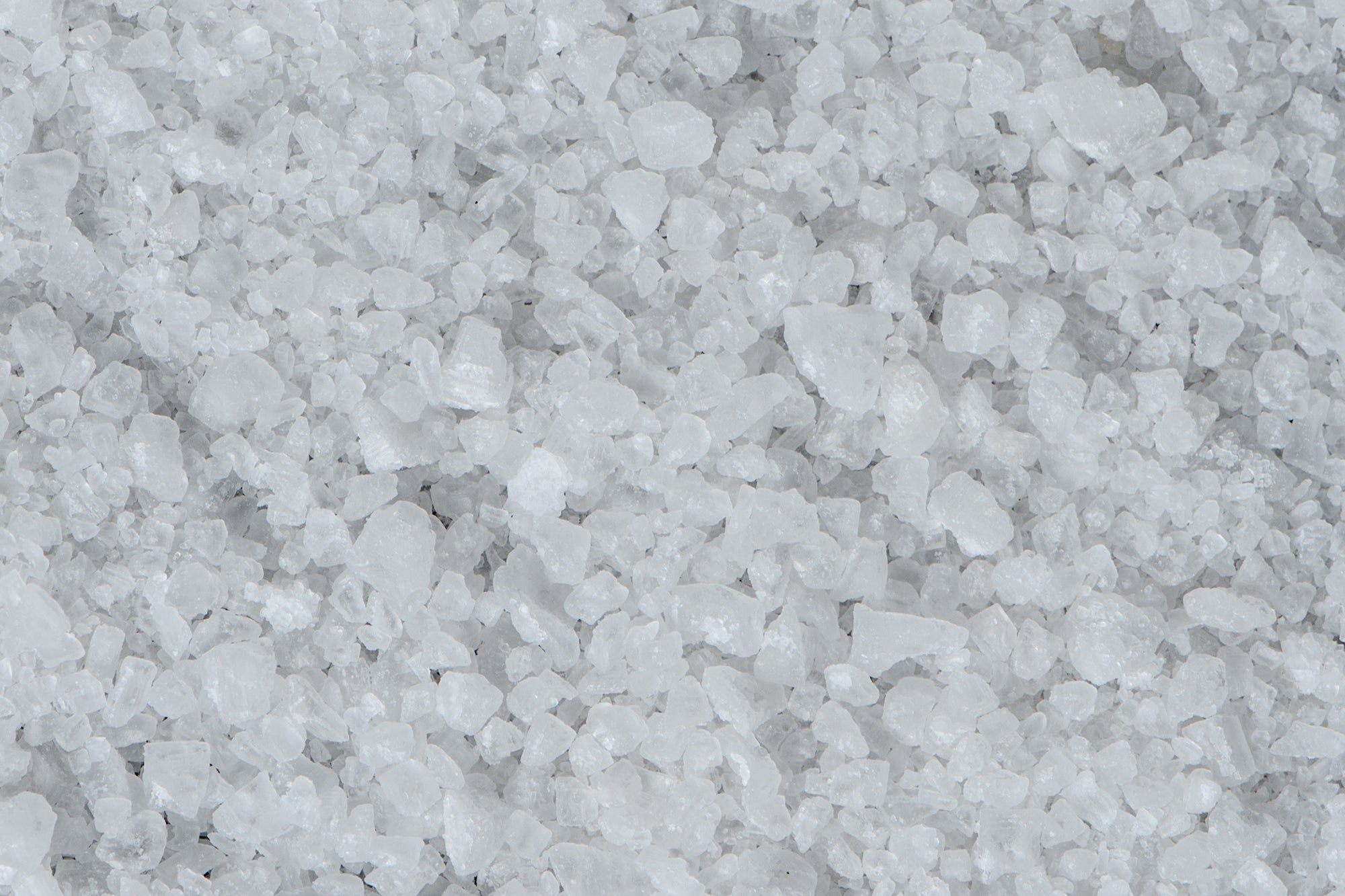 Can Dogs Have Salt? Understanding Salt Toxicity – Native Pet