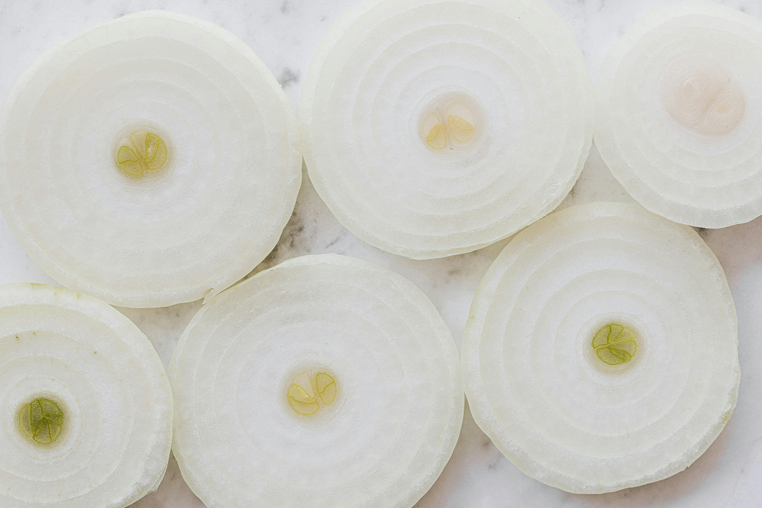 Can Dogs Eat Onions? What to Know About Onion Toxicity in Dogs
