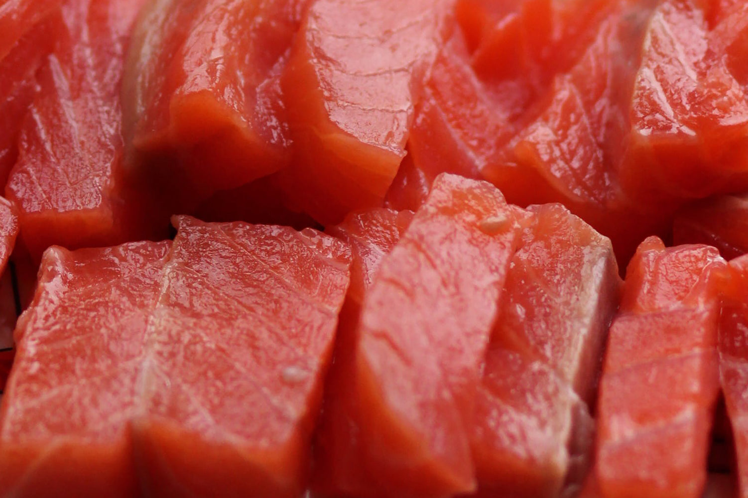 Can Dogs Eat Tuna? Get the Facts on this Saltwater Fish