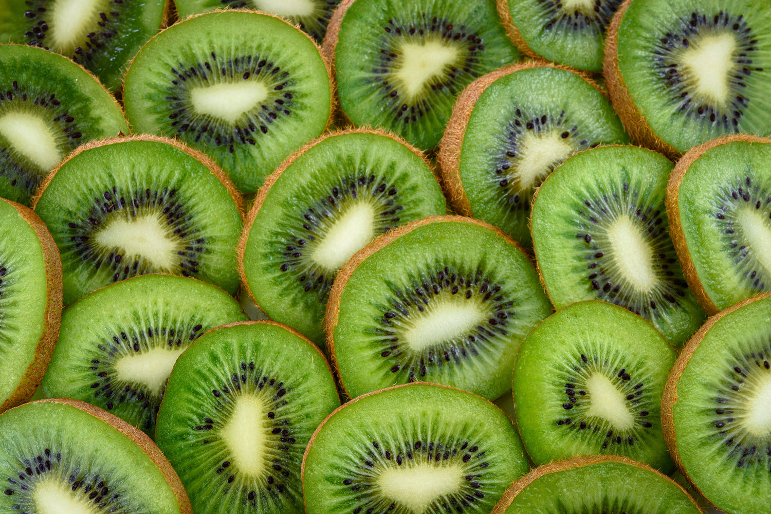 Can Dogs Eat Kiwi? The Sweet Truth About This Sweet Fruit