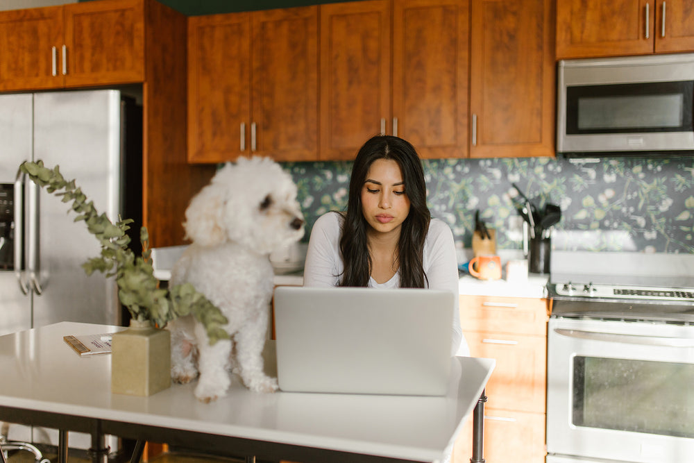 Balancing Pet Parenthood While Working Full-Time