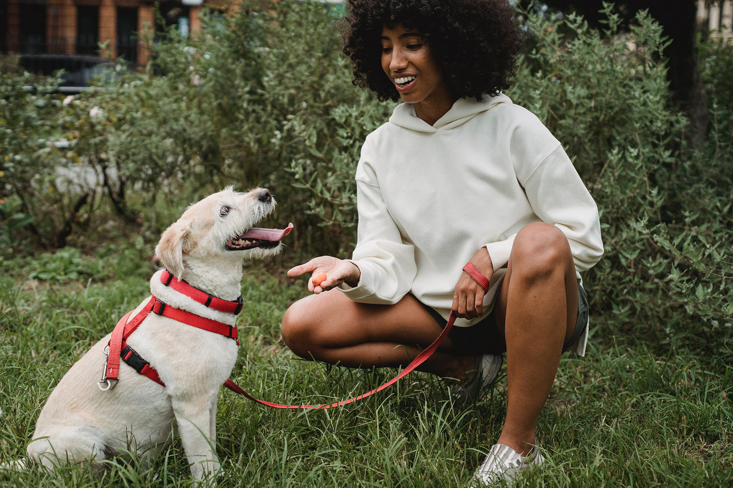 First-Time Dog Owner Checklist: 18 Things Every Pet Parent Needs