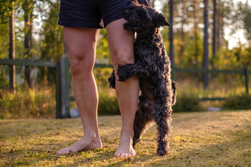 Why Does My Dog Hump Me? Common Reasons for this Doggy Behavior