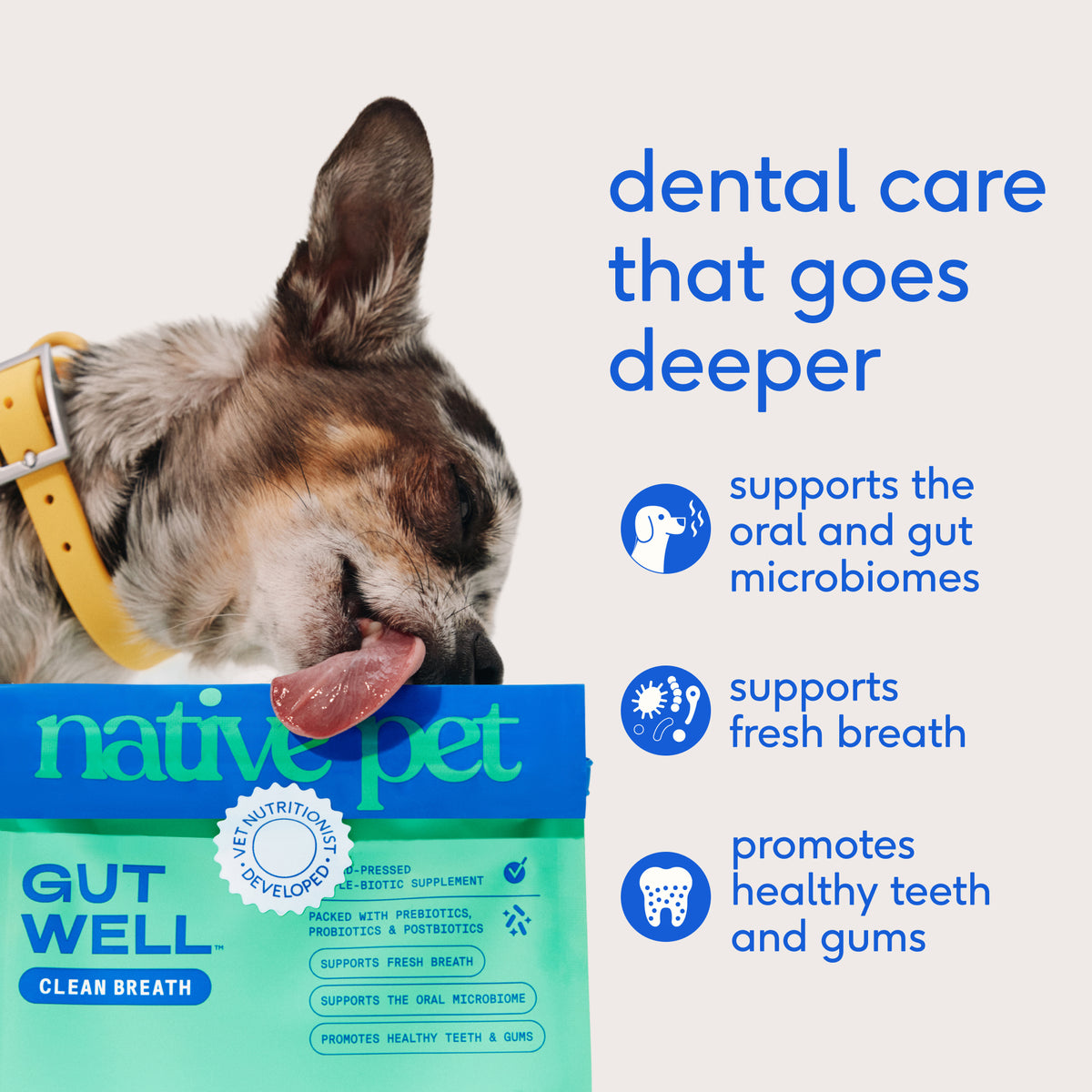Native Pet Clean Breath for Dogs - Key Benefits